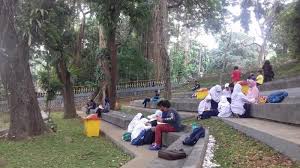 Lahan sempit bukan menjadi masalah untuk taman minimalis. Belajar Bersama Luar Kelas Jadi Menyenangkan Di Taman Ekspresi Bogor Tribunnews Bogor