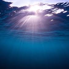 New work at the rsc is generously. Dreams About Drowning What Do They Mean An Expert Reveals