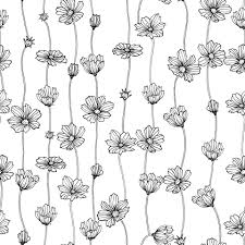 Free shipping on orders over $25 shipped by amazon. Seamless Cosmos Floral Botanical Flowers Wild Spring Isolated Black And White Engraved Ink Art Seamless Background Pattern Element Design For Fabric And Wrapping Paper 2185553 Vector Art At Vecteezy