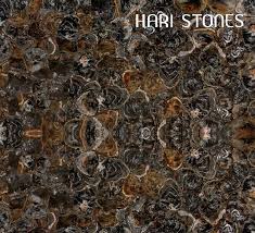 This is an overstock item. Black Petrified Wood Slabs On Special Order Hari Stones