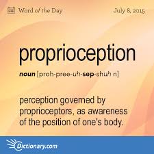 Proprioception Word Of The Day Dictionary Com Words Uncommon Words Unusual Words