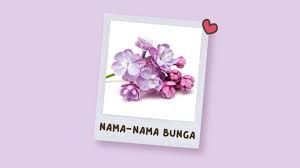 Contact arti bunga on messenger. 10 Arti Bunga Dengan Makna Yang Mungkin Belum Pernah Moms Ketahui Orami