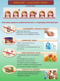 Kishechnyj Gripp Kak Otlichit Ot Pishevogo Otravleniya Klinicheskaya Kartina I Sposoby Zarazheniya Vozmozhnye Oslozhneniya I Posledstviya Bolezni Effektivnye Metody Terapii