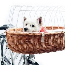 Aumuller Hunde Fahrradkorb Mit Schutzgitter In 2020 Fahrradkorb Hundetransport Zahnstein Hund
