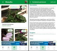 We did not find results for: 9 Best Free Plant Identification Apps For Android Ios 2021
