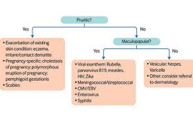 Diagnostic Flow Chart For Rash In Pregnancy 8 Cmv