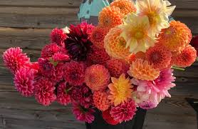 Flower shop spokane wa locations, hours, phone number, map and driving directions. Services We Offer Bloom Flower Farm