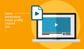 Aplikasi orange video apk penghasil uang sekarang sudah resmi dirilis dan bisa langsung anda mainkan melalui ponsel atau smartphone di tangan anda. Information Optics How To View Video Metadata Canto