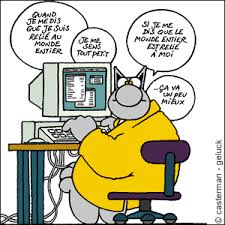 Mais des sites français croient savoir que cet incident. Petit Trait D Humour Le Chat Touche A Tout Ou Presque
