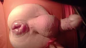 Pumped pig pussy - ThisVid.com