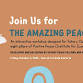 The Amazing Peace Race