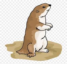 Mammals brown prairie dog coloring pages for kids. Prairie Dog Clipart Gopher Coloring Page Free Transparent Png Clipart Images Download