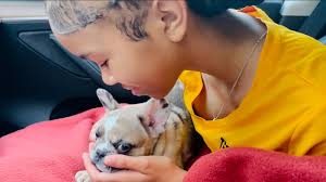 Don't you want to just wuff ♥️ me?