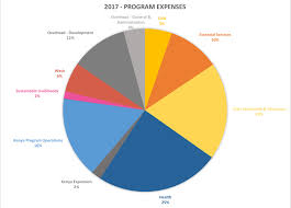 Pie Chart Shofco