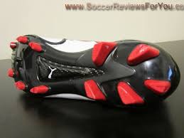 Image result for Puma 10