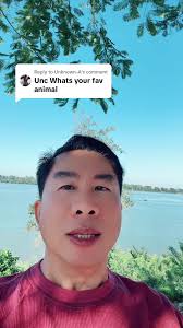 Allergic to Animal Fur: My Family's Story