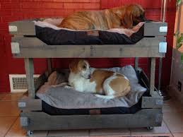 Hundebett Selber Bauen 13 Gemutliche Ideen Fur Ihren Vierbeiner Heimwerkertricks Net Seite 5 Hunde Bett Hundebett Selber Bauen Hundebett Diy