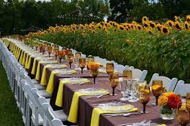 The dinner party will likely be a fond memory for the couple, so recording the event will give them something to look back on. Outdoor Anniversary Party Ideas 20th Anniversary Dinner Party Ideas Pinterest Anniversary Dinner 10 Year Anniversary Party 20th Anniversary