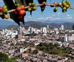 Se renta hermoso apartamento en sector unicentro. Entre Las Empresas Con Mas Utilidades De Risaralda Estan Empresas De Energia De Pereira Y Busscar