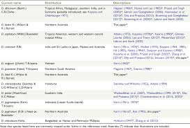Image result for Diplacrum africanum