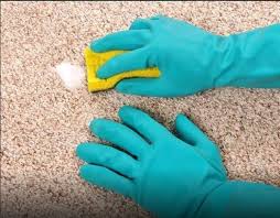 Evde Hali Sampuani Nasil Yapilir Halilarinizdaki Lekeleri Tamamen Cikartan Ve Piril Piril Yap How To Clean Carpet Natural Carpet Cleaning Deep Carpet Cleaning