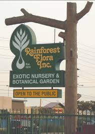 At rain forest nursery we will give you the attention and personal service you come to expect and enjoy. My Birthday In The Rainforest Well Actually Rfi In Torrance Ca Nixwickedgarden