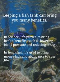 Check spelling or type a new query. Benefits Of A Fish Tank And The Science Feng Shui Behind It