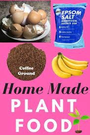 Make The Best Homemade Fertilizer From Household Items Cheap And Easy Homemade Plant Food Garden Fertilizer Organic Vegetable Garden