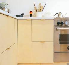 What S The Best Material For Kitchen Cabinets In India The Urban Guide Kitchen Cupboard Designs Kitchen Cabinets Kitchen Cabinets Materials