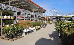 Home Depot Road Trip Time To Digin The Wilderness Wife Annual Plants Garden Center Planting Flowers