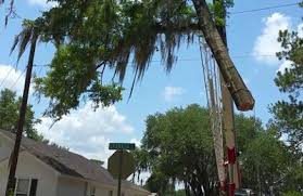 We did not find results for: Valdosta Tree Service Llc 458 Us Highway 129 N Statenville Ga 31648 Yp Com