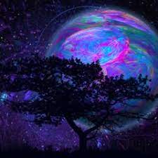 Psytrance, ambient music album cover psd template. Free Album Cover Images Pictures And Royalty Free Stock Photos Freeimages Com