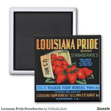 Louisiana Pride Strawberries Magnet Zazzle Com Custom Magnets Things To Sell Square Magnets