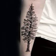 Placements of palm tree tattoos. Top 59 Forearm Tree Tattoo Ideas 2021 Inspiration Guide Tree Tattoo Forearm Tree Tattoo Designs Tree Tattoo Men