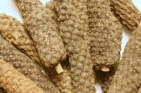 A History of Pepper since the Ancient World