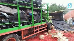 Evakuasi kecelakaan truk cabe di subah solidaritas sopir truk. Loker Sopir Truk Cabe Contoh Surat Lamaran Kerja Sopir Truk Serat