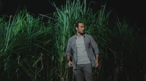 Ade firman hakim, adhisty zara, ari irham and others. Ratu Ilmu Hitam Unleashes Hell On Earth The Star