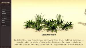 Image result for Blechnaceae