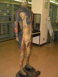 刺青の人体標本 「東京慈恵会医科大学の標本」 | 歪んだものほど美しい