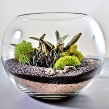 Unos tarros o jarrones de cristal juntos con piedras y tierra son suficiente para dar forma a tu particular. Terrario Que Es Como Hacerlo Imagenes Y Disenos Increibles Informacion Imagenes