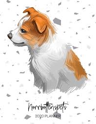 Our puppies are not whelped and raised in a kennel environment. Amazon In Buy Norrbottenspets 2020 Planner Dated Weekly Diary With To Do Notes Dog Quotes Awesome Calendar Planners For Dog Owners Pedigree Puppy Breeds Book Online At Low Prices In India