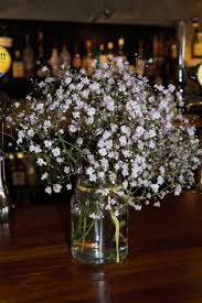Pin On Gypsophila Gypsophila Gypsophila