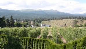 卑詩內陸酒鄉遊（上）- 酒莊婚禮- 哲子戲Philosophist's Camp