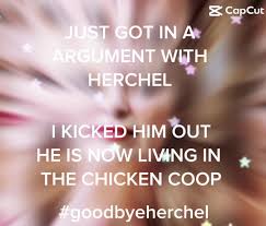 #brendasparks #youngsheldon #billy #lovingmother #fyp