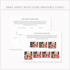 Print Aspect Ratio Chart Sold By Wti Design