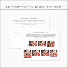 print aspect ratio chart sold by wti design