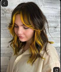 Hair color models wanted in Orlando?