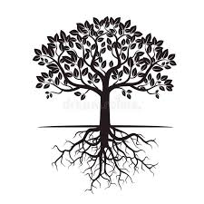 Sweetgum is a deciduous tree that may grow 80 to 120 feet tall with a diameter of 4 feet or more. Black Tree And Roots Vector Illustration Black Tree And Roots Vector Illustra Sponsored Roots Tre Oak Tree Drawings Tree Drawing Art Therapy Projects