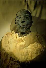 Mummy Of Seti I Father Of Ramses Ii New Kingdom From Egypt S Valley Of The Kings In Egyptian Museum C Ancient Egypt History Ancient Egypt Egyptian History