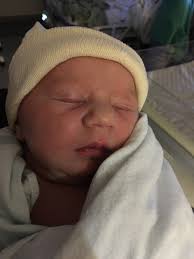 Perfect Picture Book Friday